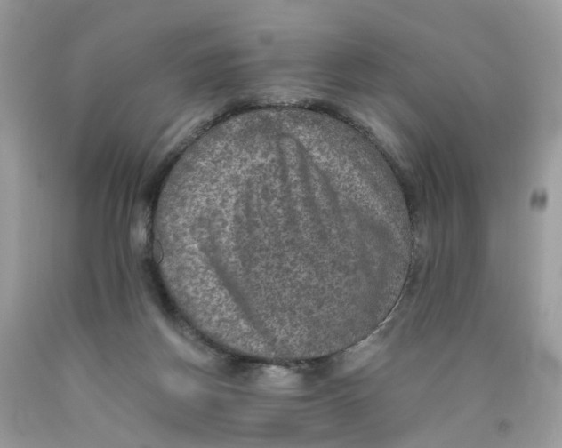 X0000089970166200707202018