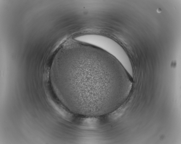 X0000089970168200707202018