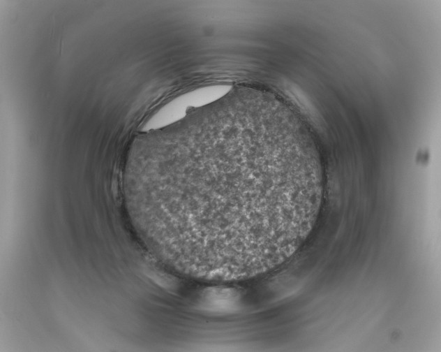 X0000089970169200707202018