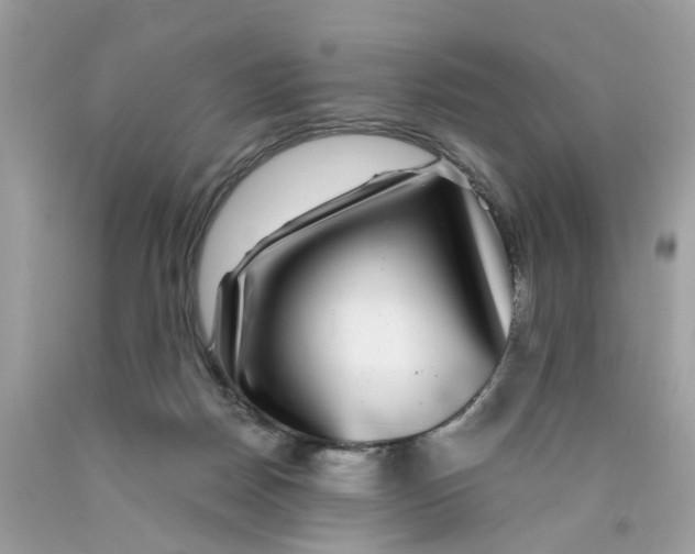 X0000089970170200707202018