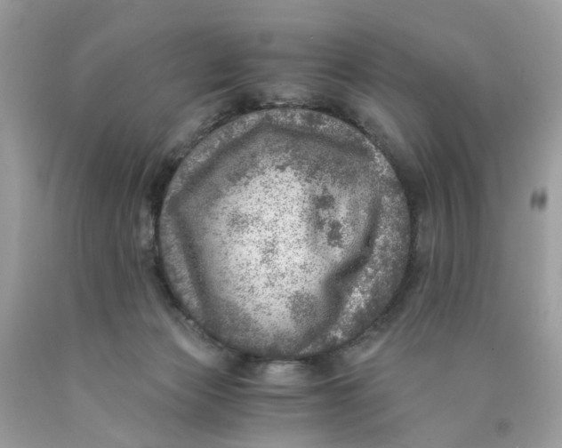 X0000089970173200707202018