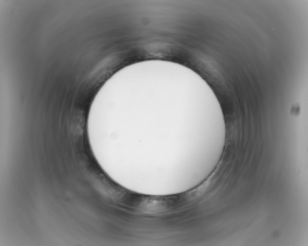 X0000089970174200707202018