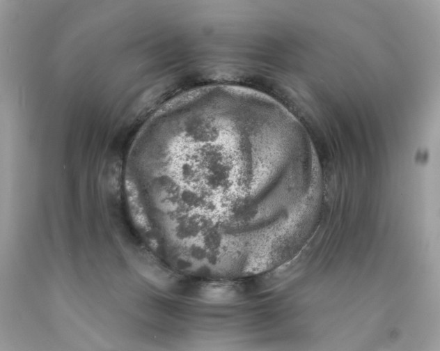 X0000089970175200707202018