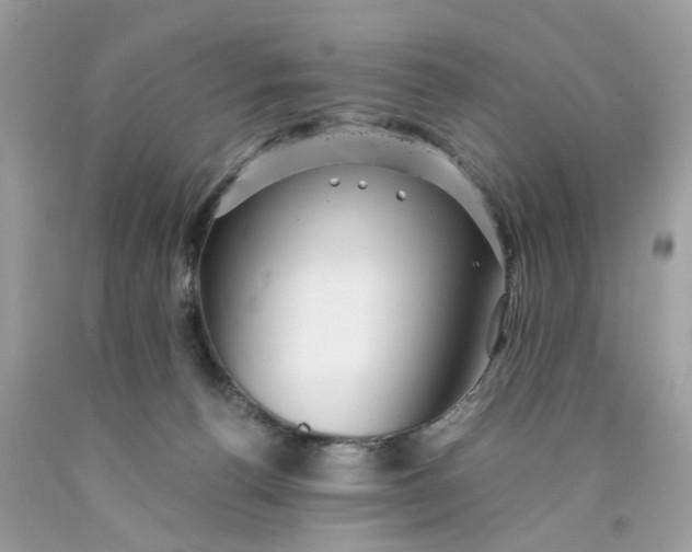 X0000089970176200707202018