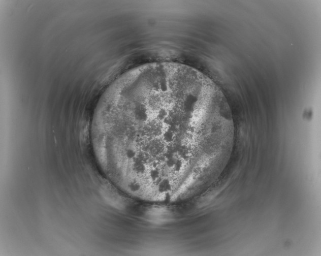 X0000089970177200707202018