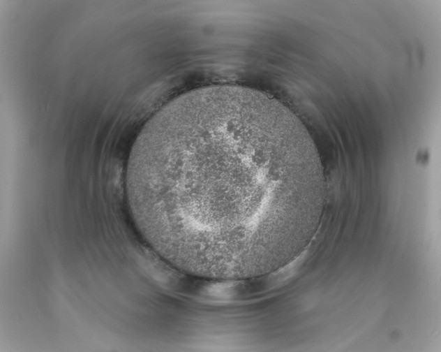 X0000089970178200707202018