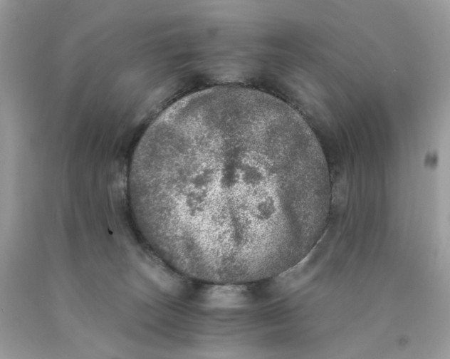 X0000089970179200707202018