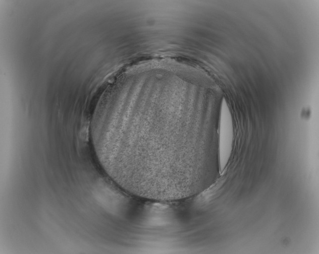 X0000089970180200707202018