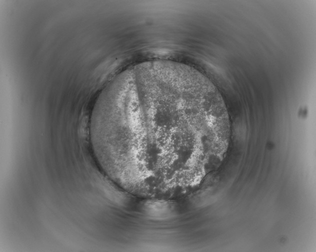 X0000089970181200707202018