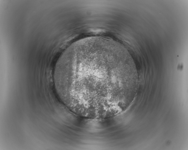 X0000089970182200707202018