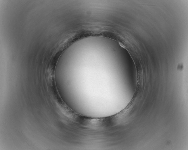 X0000089970184200707202018