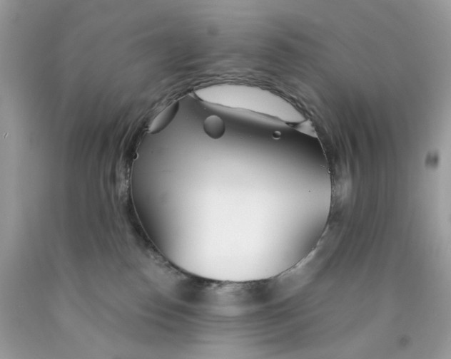 X0000089970186200707202018