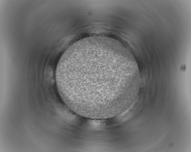 X0000089970187200707202018