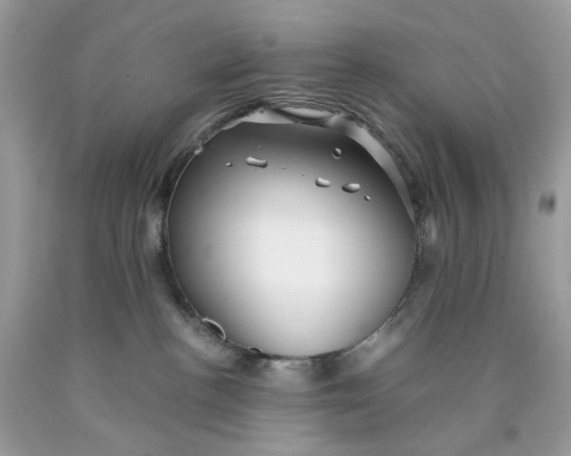 X0000089970188200707202019