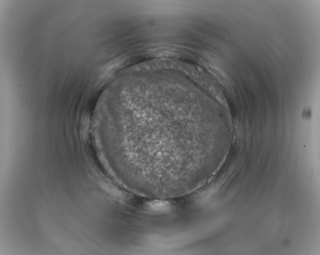 X0000089970189200707202019