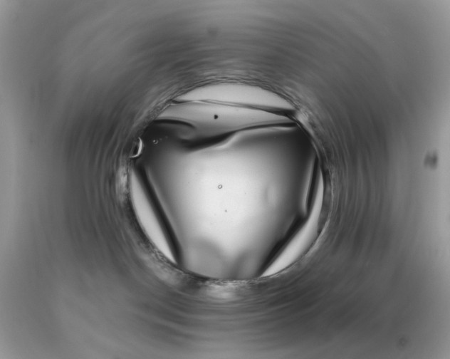 X0000089970190200707202019