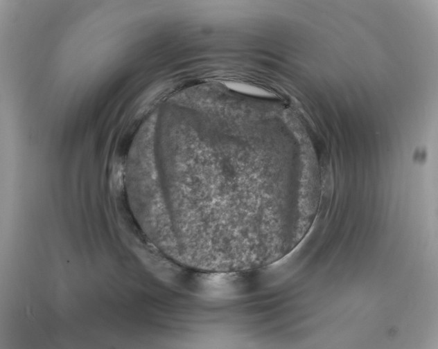 X0000089970191200707202019