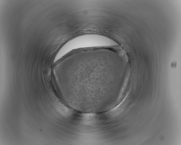 X0000089970192200707202019