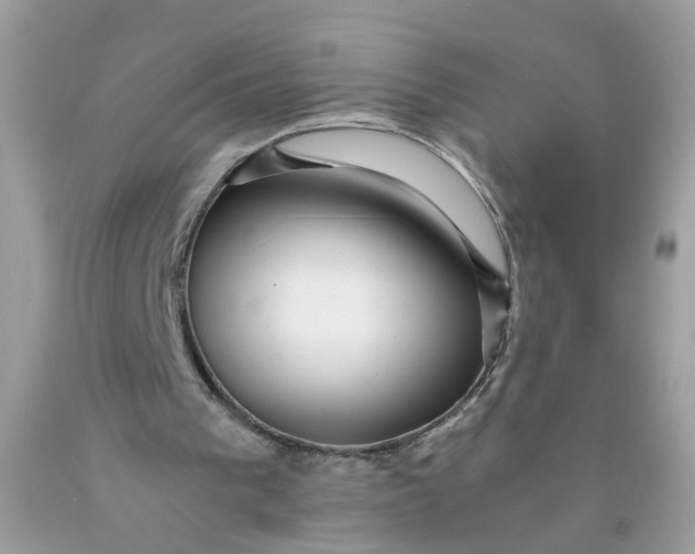 X0000089970193200707202018