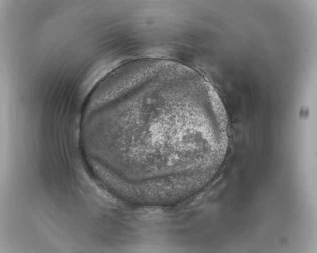 X0000089970194200707202018