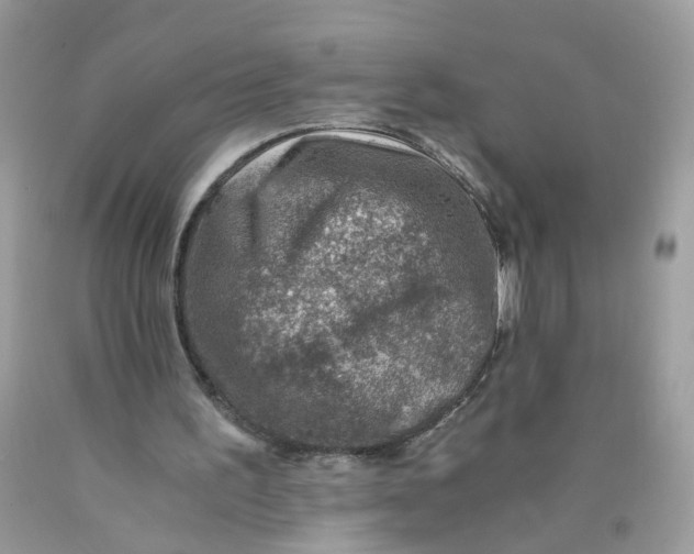 X0000089970195200707202018