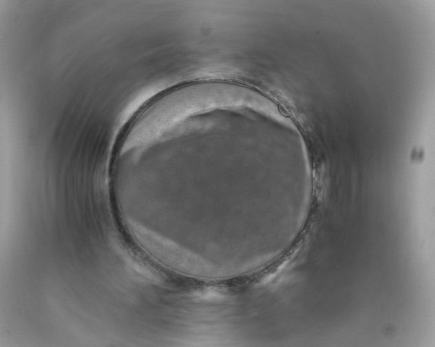 X0000089970196200707202018