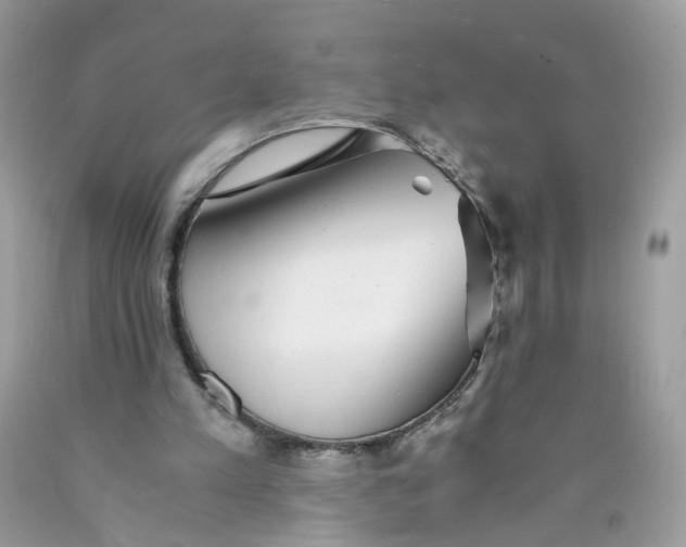 X0000089970197200707202018