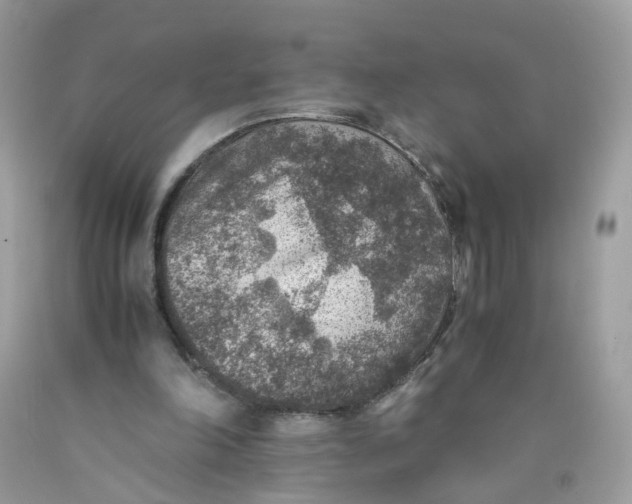 X0000089970198200707202018