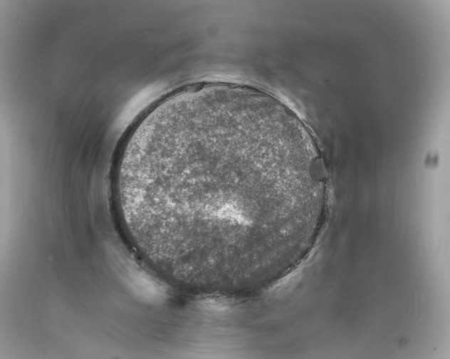 X0000089970199200707202018