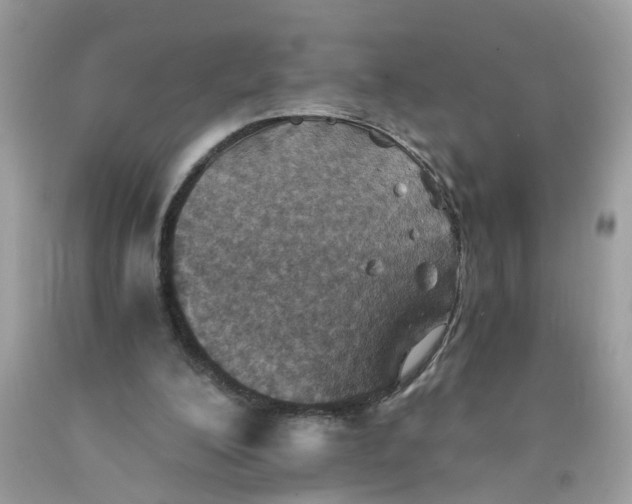 X0000089970200200707202018