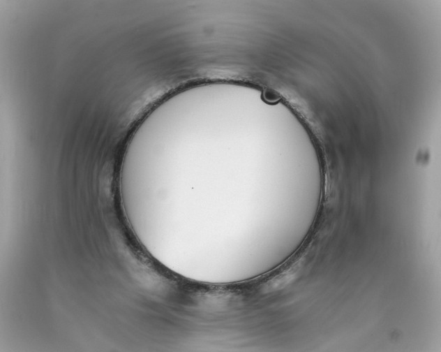 X0000089970201200707202018