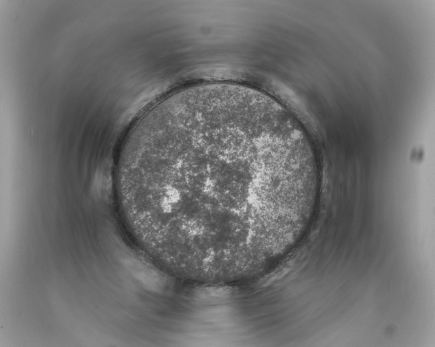 X0000089970202200707202018