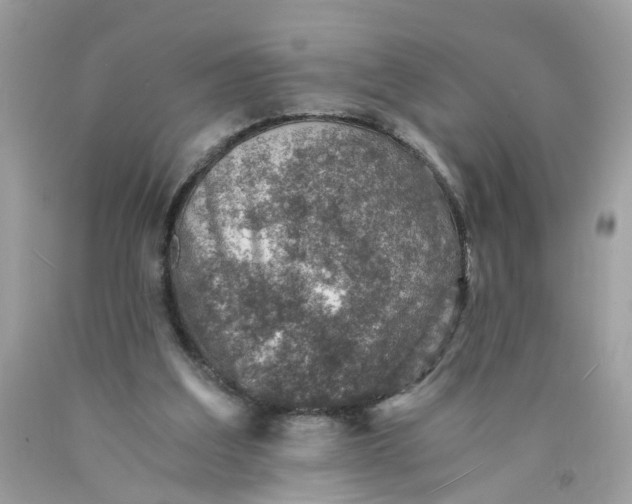 X0000089970203200707202018