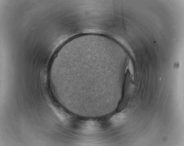 X0000089970204200707202018