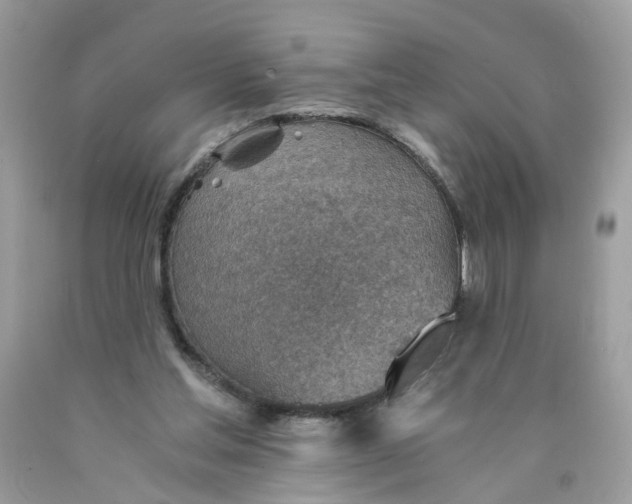 X0000089970205200707202018