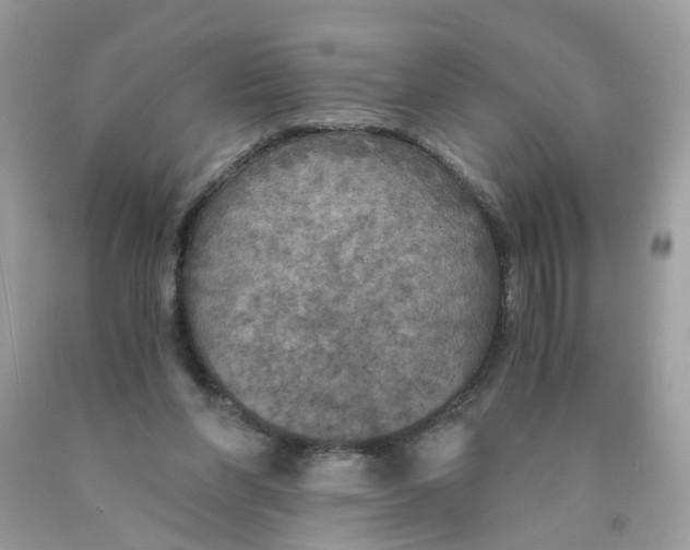 X0000089970206200707202018