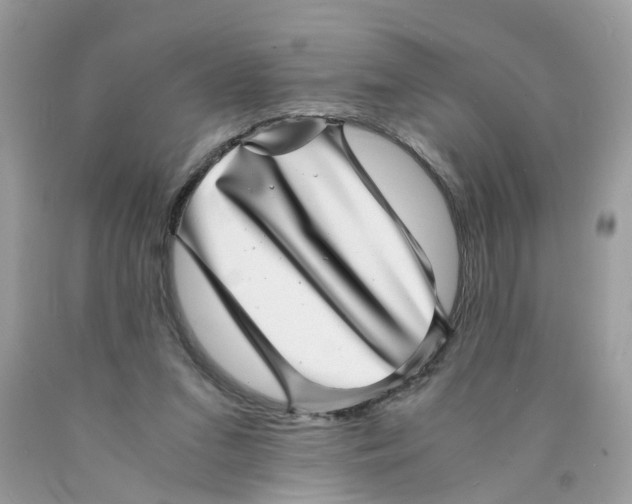 X0000089970207200707202018