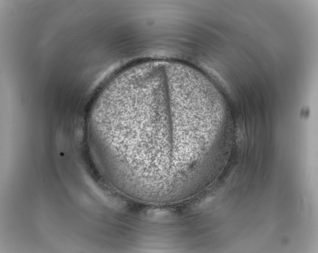 X0000089970208200707202018