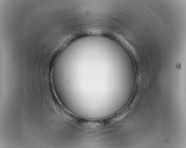 X0000089970209200707202018