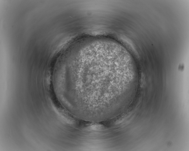 X0000089970210200707202018