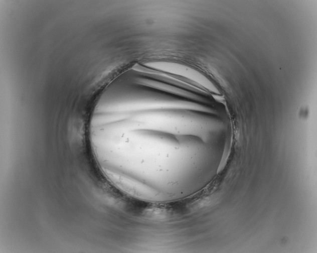 X0000089970211200707202018