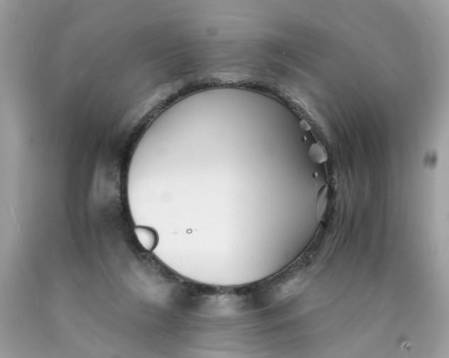 X0000089970212200707202018