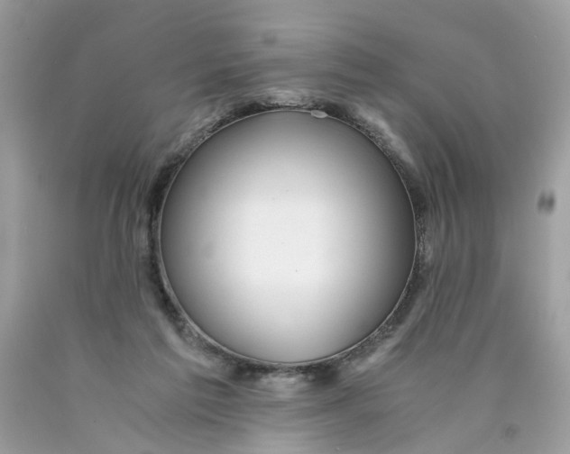 X0000089970213200707202018