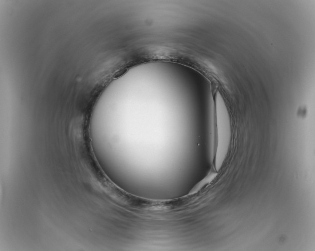 X0000089970217200707202018