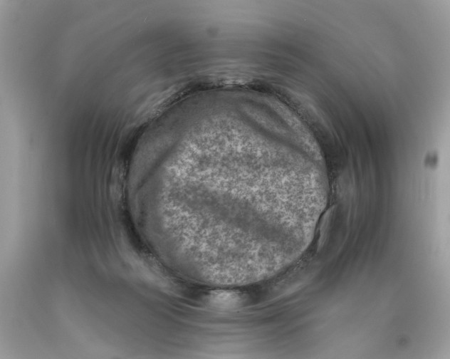 X0000089970218200707202018