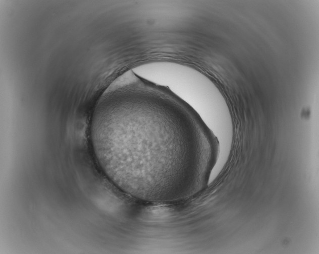 X0000089970219200707202018