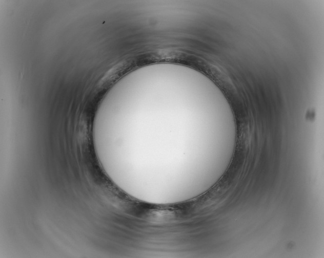 X0000089970220200707202018