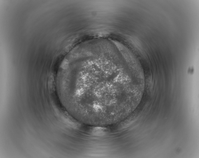 X0000089970222200707202017