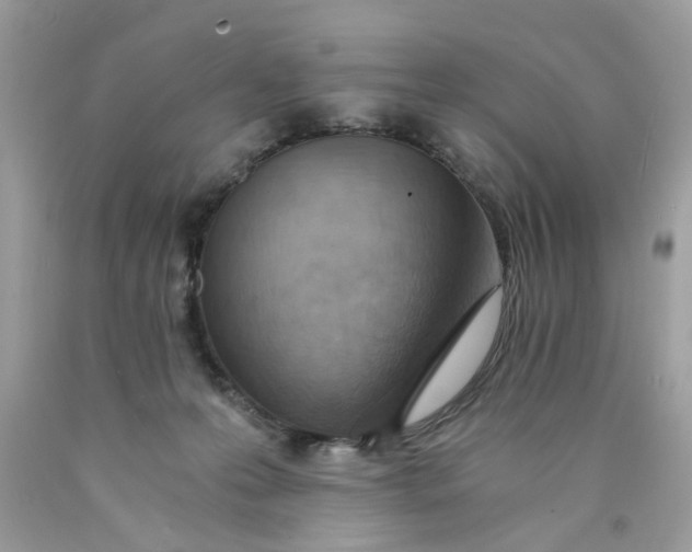 X0000089970223200707202017