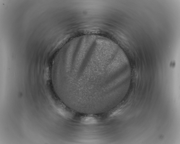 X0000089970224200707202017